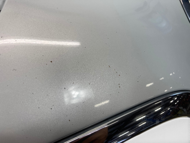 Mini Cooper S JCW Hood White Silver 41617318365 2007-2015 R5x 553