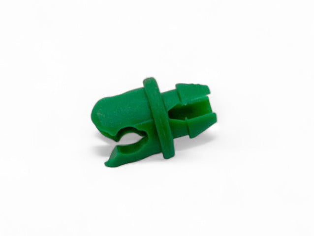 ラスト1株のみ！！ビスマルキア グリーン ラスト1株のみ！！ビスマルキア グリーン