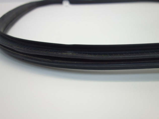 Mini Countryman Front Door Seal 51339808654 11-16 R60