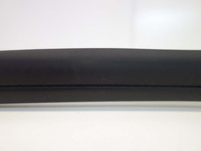 Mini Countryman Front Door Seal 51339808654 11-16 R60