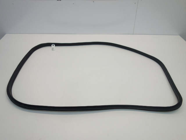 Mini Countryman Front Door Seal 51339808654 11-16 R60