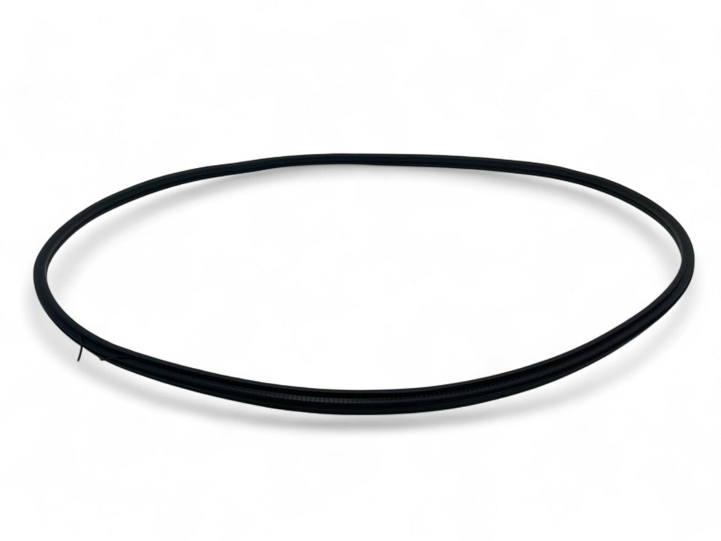 Mini Countryman Front Door Seal NEW OEM 51339808654 2011-2016 R60