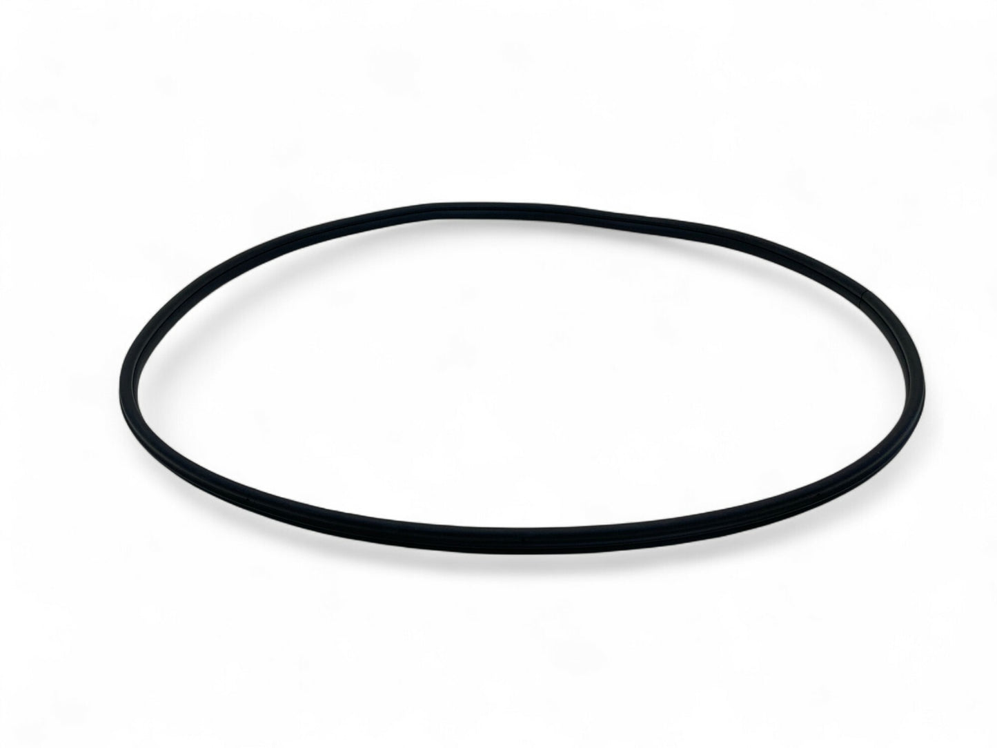 Mini Countryman Front Door Seal NEW OEM 51339808654 2011-2016 R60