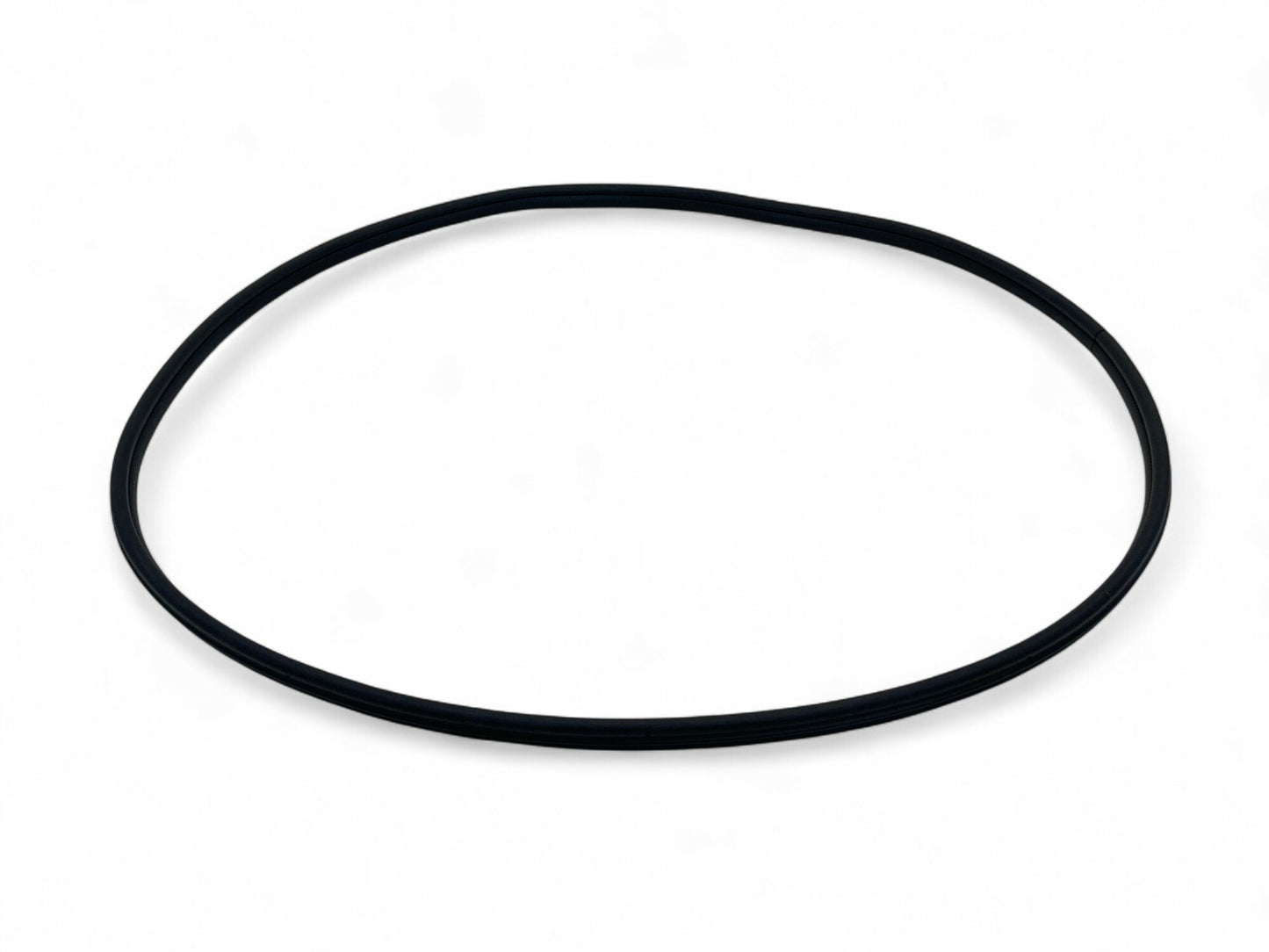 Mini Countryman Front Door Seal NEW OEM 51339808654 2011-2016 R60