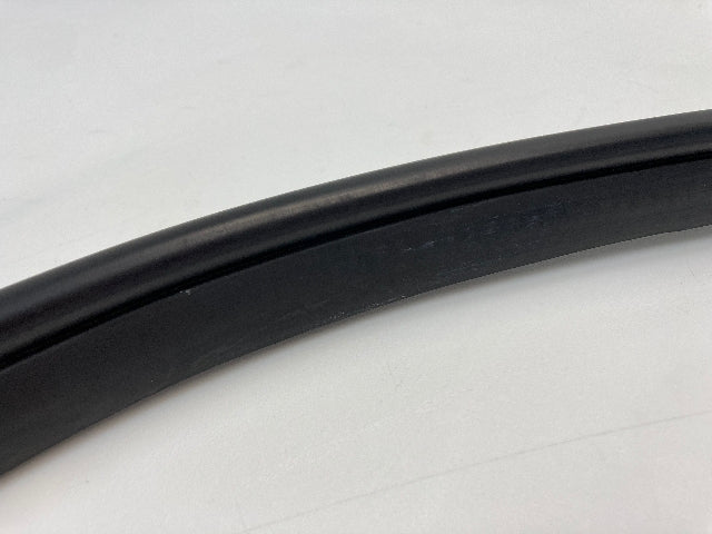 Mini Countryman Rear Door Seal 51359808655 11-16 R60
